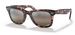 Ray Ban Wayfarer RB2140 Sunglasses - Transparent Pink/Silver/Polarized Grey-1334G3