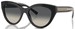 Tiffany & Co. TF4220 Sunglasses Women's Cat Eye