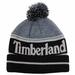 Timberland Men's Color-Blocked Logo Watch Cap Beanie Hat (One Size Fits Most)