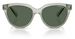 Armani Exchange AX4148SU Sunglasses Women's