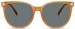 Coach CW428 HC8414BD Sunglasses Women's Round Shape