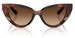 Dolce & Gabbana DG4497 Sunglasses Women's Cat Eye