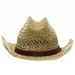 Dorfman Pacific Men's Rush Straw Shapeable Western Cowboy Hat