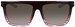 Dragon DR Tempest LL Sunglasses Women's Square Shape