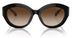 Michael Kors Brussels MK2204U Sunglasses Women's Cat Eye