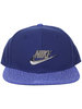 Nike Metallic Swoosh Baseball Cap Little Boy's Adjustable Snapback Hat