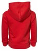 Puma Hooded Sweatshirt Little Boy's Pullover