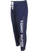 Tommy Hilfiger Men's Jogger Track Pants Vertical Logo