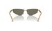 Dolce & Gabbana DG2301 Sunglasses Women's Rectangle Shape