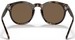 Ralph Lauren RL8204QU Sunglasses Men's Round Shape