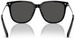 Swarovski SK6015D Sunglasses Women's Square Shape