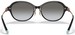 Tiffany & Co. TF4188D Sunglasses Women's Oval Shape