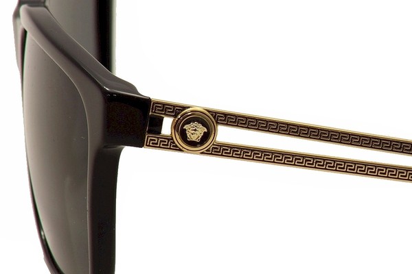 Versace Men's VE4307 VE/4307 Fashion Sunglasses | JoyLot.com