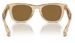 Burberry BE4426 Sunglasses Men's Square Shape