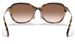 Coach C6199 HC8332D Sunglasses Women's Rectangle Shape