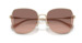 Coach CL906 HC7158D Sunglasses Women's Butterfly Shape