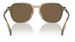 Coach CL912 HC8383U Sunglasses Men's Square Shape