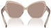 Dolce & Gabbana DG4463 Sunglasses Women's Butterfly Shape