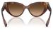 Dolce & Gabbana DG4497 Sunglasses Women's Cat Eye