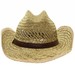 Dorfman Pacific Men's Rush Straw Shapeable Western Cowboy Hat