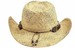 Henschel Men's Straw Walker Cowboy Hat