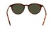 Lacoste L6034S Sunglasses Men's Round Shape