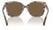 Michael Kors Malia MK2201 Sunglasses Women's Square Shape