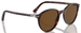 Persol PO3350S Sunglasses