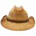 Scala Men's Raffia With Braided Trim Western Hat