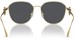 Versace VE2259D Sunglasses Women's Round Shape