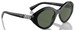 Vogue VO5576SB Sunglasses Women's Oval Shape