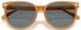 Coach CW428 HC8414BD Sunglasses Women's Round Shape