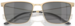 Emporio Armani EA2164D Sunglasses Men's Rectangle Shape