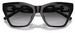 Emporio Armani EA4203U Sunglasses Women's Cat Eye