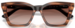 Emporio Armani EA4250U Sunglasses Women's Butterfly Shape