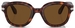 Persol PO0060S Sunglasses Women's