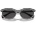 Swarovski SK6006 Sunglasses Women's Oval Shape