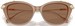 Swarovski SK6010 Sunglasses Women's Cat Eye