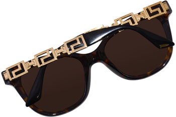 BRAND NEW VERSACE VE4394 533313 Brown Women 2024 Sunglasses