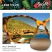 Maui Jim Polarized Moon Doggy MJ874 Sunglasses Round Shape