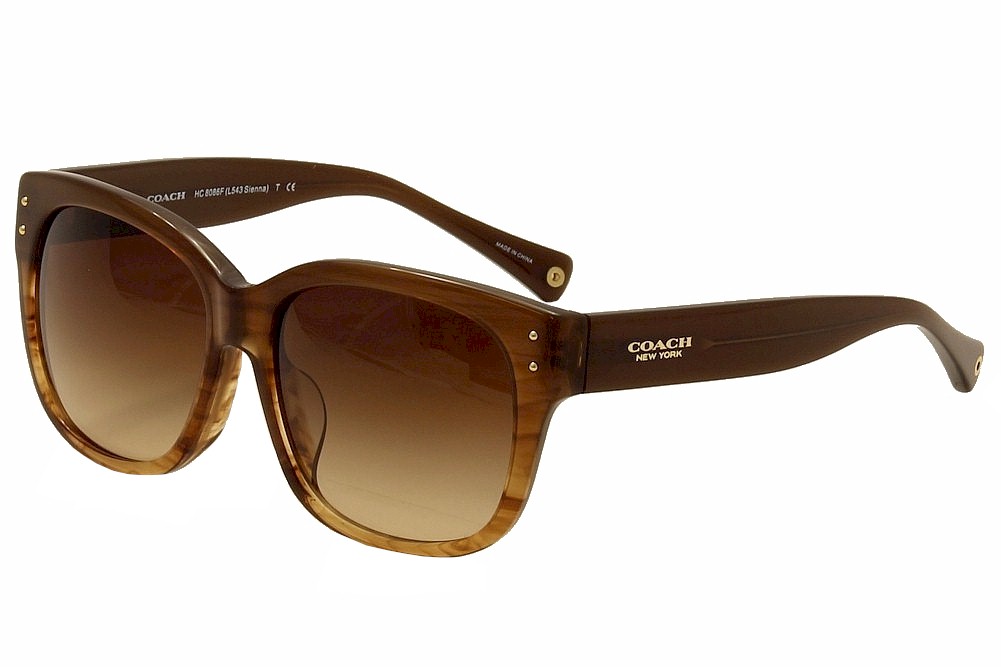 coach sienna sunglasses