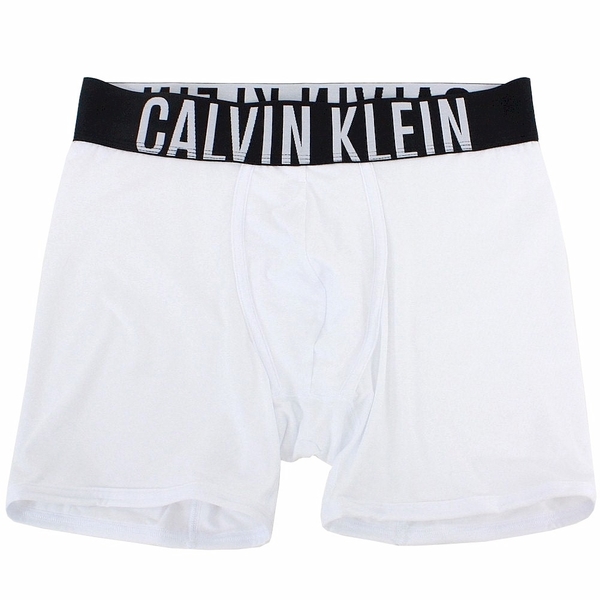 Calvin Klein Men's Intense Power Microfiber Boxer Briefs